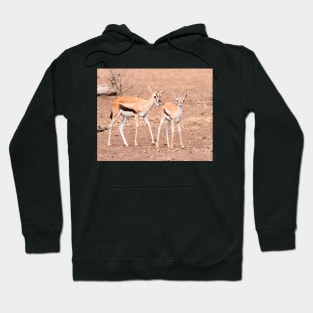 Thomson's Gazelle (Serengeti) #1 Hoodie